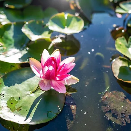 Apartament Huegelblick Oase Kraichtal