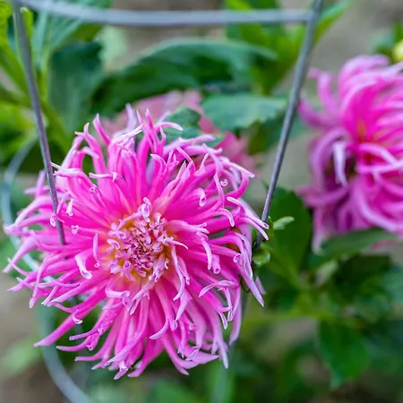 公寓 Huegelblick Oase