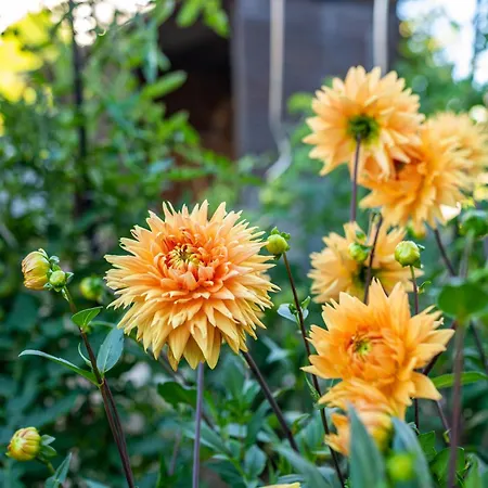 公寓 Huegelblick Oase Kraichtal