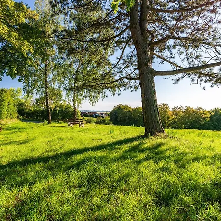 Huegelblick Oase Apartament Kraichtal